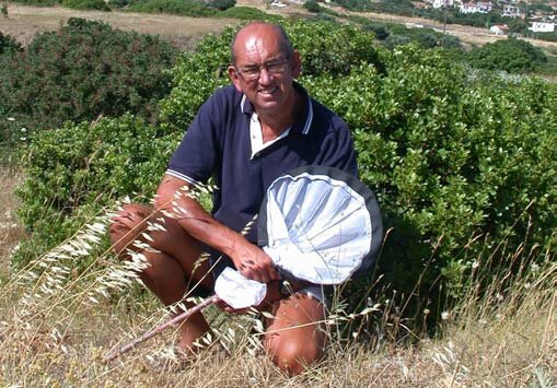 Chios Greece Chios Island Travel Guide By Chiosnet Chios Tourism Server